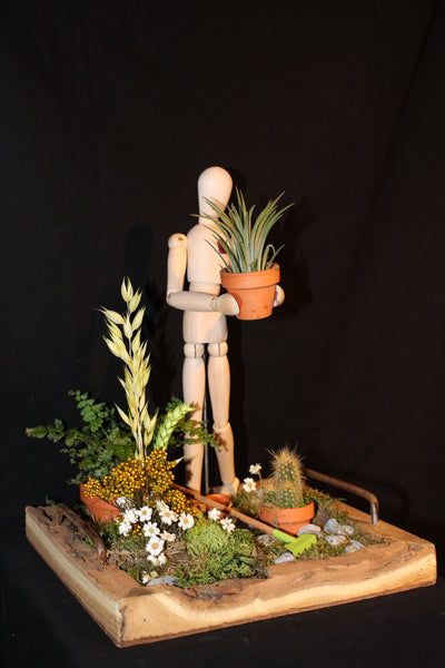 Lente tafereel met cactus, droogbloemen en Tillandsia / Scène printanière avec cactus, fleurs séchées et Tillandsia