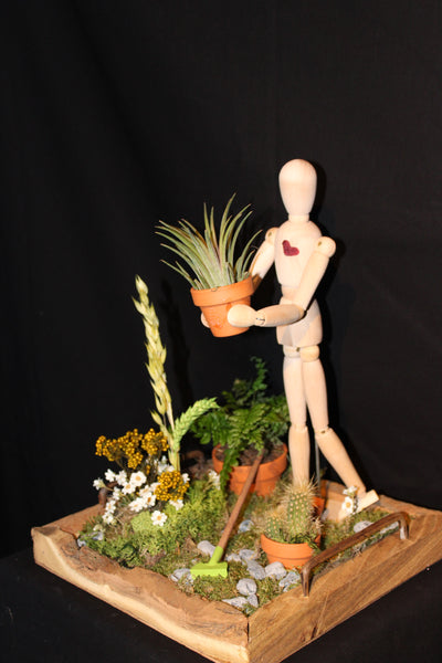 Lente tafereel met cactus, droogbloemen en Tillandsia / Scène printanière avec cactus, fleurs séchées et Tillandsia