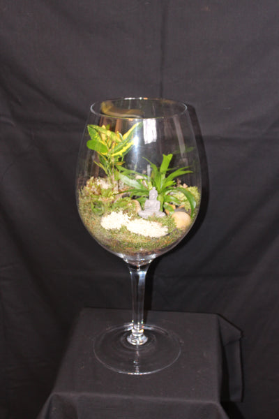 Terrarium mini planten (GL1) - groot wijnglas / grand verre à vin