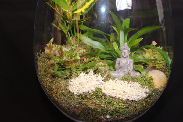 Terrarium mini planten (GL1) - groot wijnglas / grand verre à vin