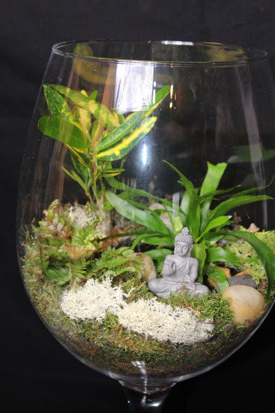 Terrarium mini planten (GL1) - groot wijnglas / grand verre à vin