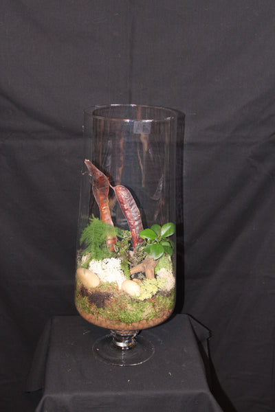 Terrarium mini planten (GL2)