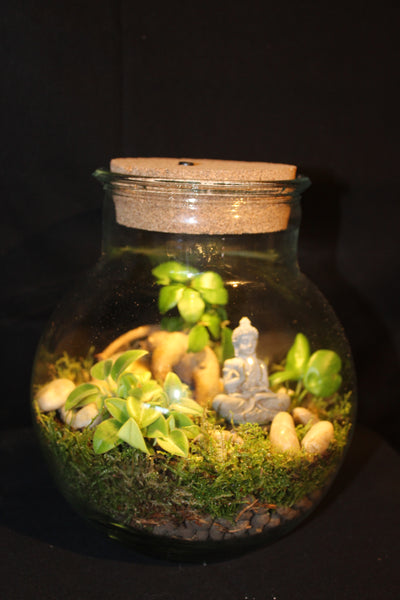Terrarium mini planten (LED) / Terrarium de mini plantes (LED)