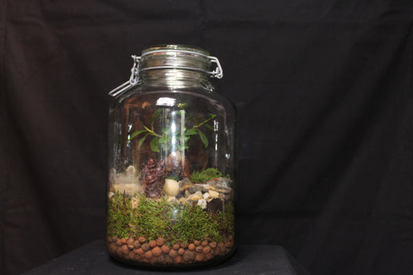 Terrarium mini planten (cls) - grote steriliseerpot / grand pot à stériliser