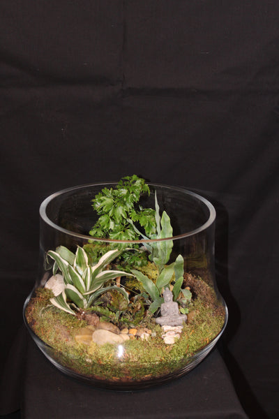 Terrarium mini planten (opn)