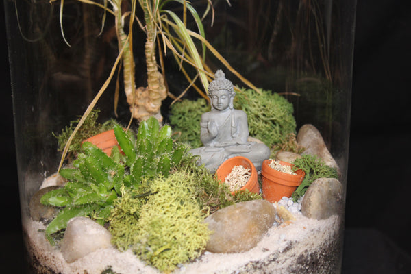 Terrarium mini planten (vsh)