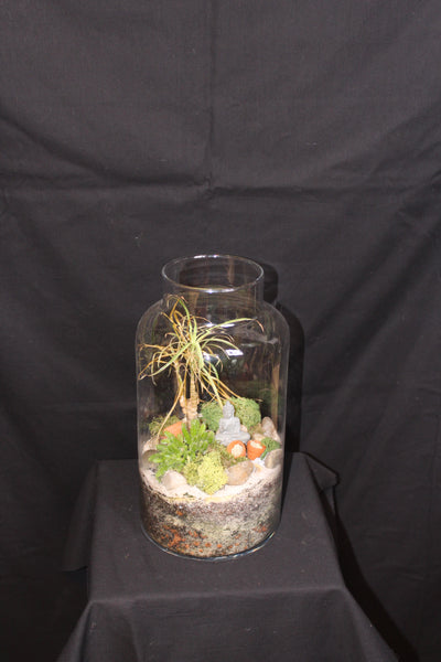 Terrarium mini planten (vsh)