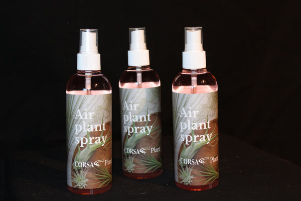 De Tillandsia verzorging / Le soin Tillandsia :  Tillandsia spray