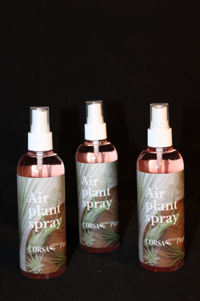 De Tillandsia verzorging / Le soin Tillandsia :  Tillandsia spray