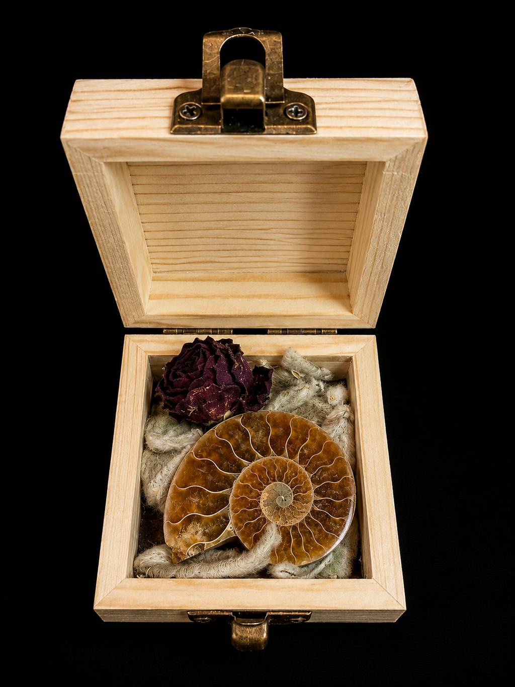 Coffret nature avec fossiles et minéraux – composition unique