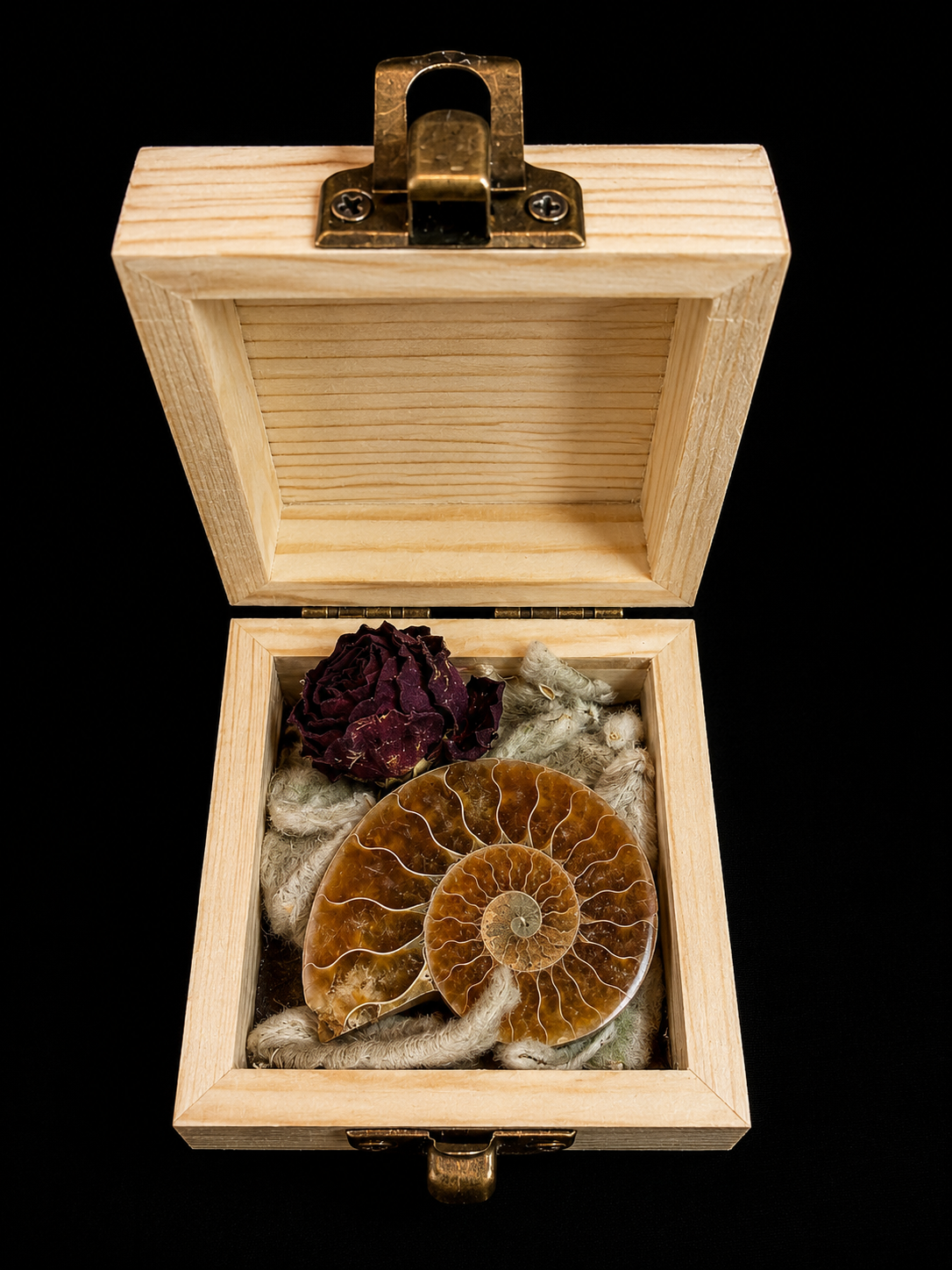 Nature box with fossils & minerals – unique composition