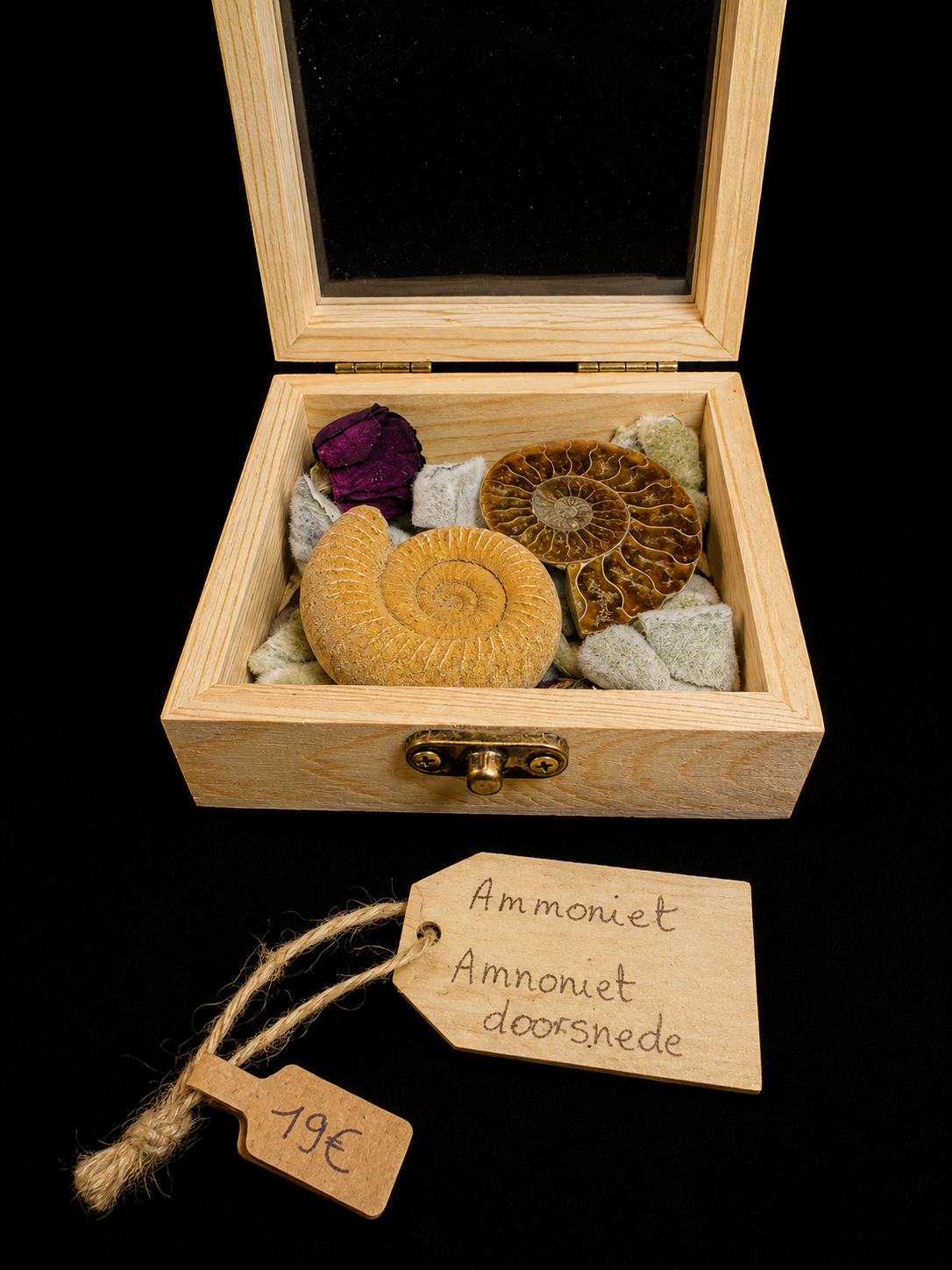 Nature box with fossils & minerals – unique composition