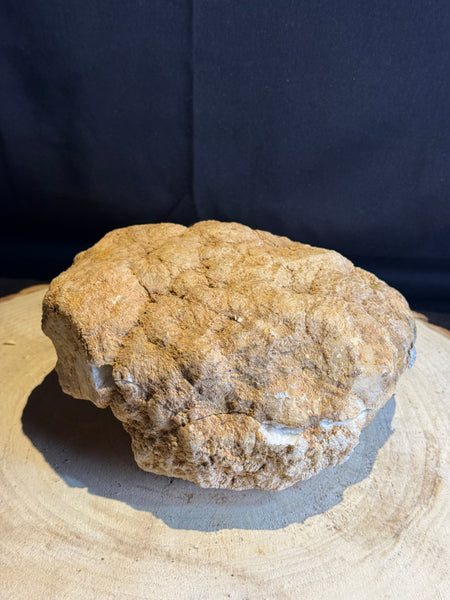 Bergkristal geode – 3,3 kg – 18 cm – prachtig natuur kristal