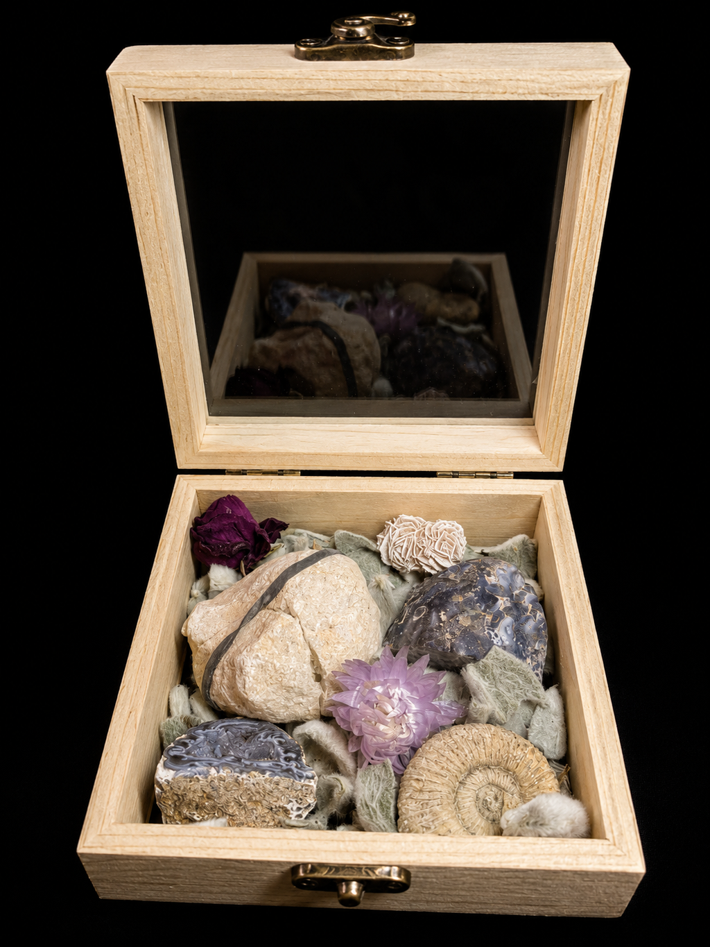 Coffret nature avec fossiles et minéraux – composition unique