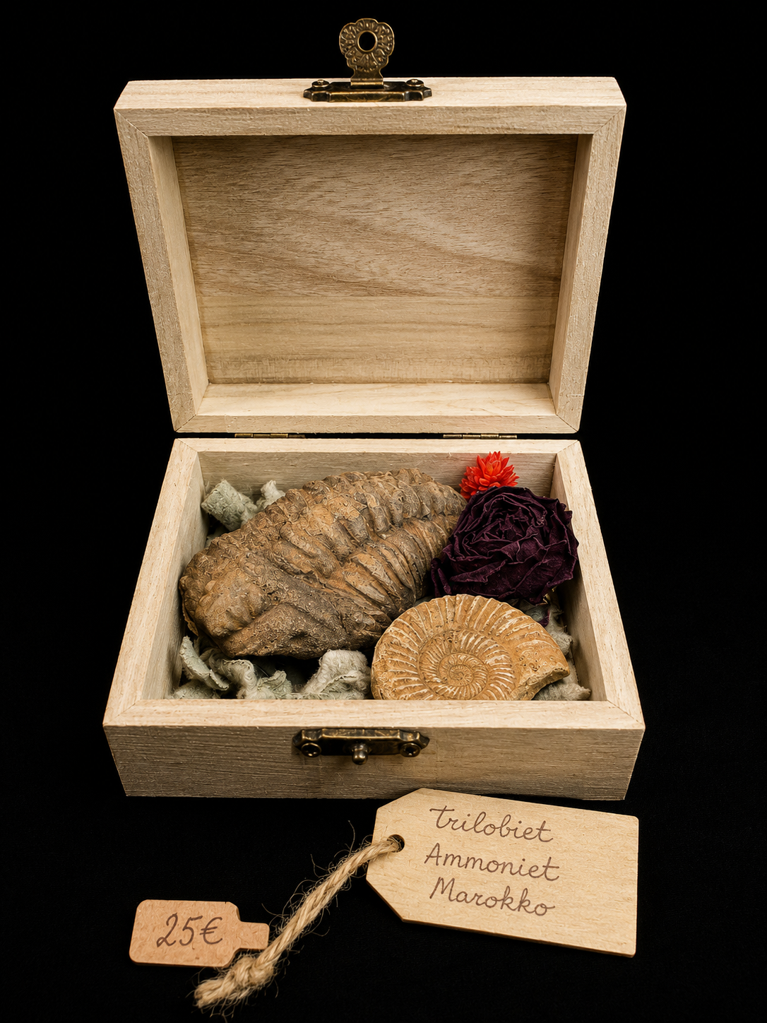 Coffret nature avec fossiles et minéraux – composition unique