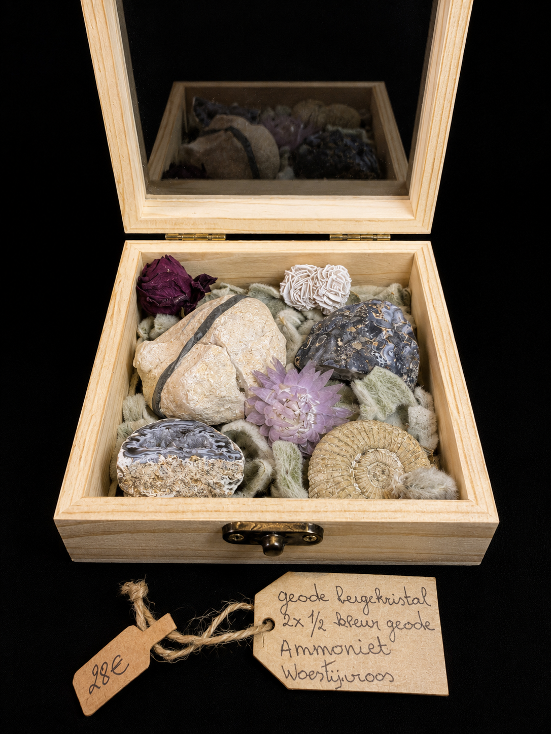 Coffret nature avec fossiles et minéraux – composition unique