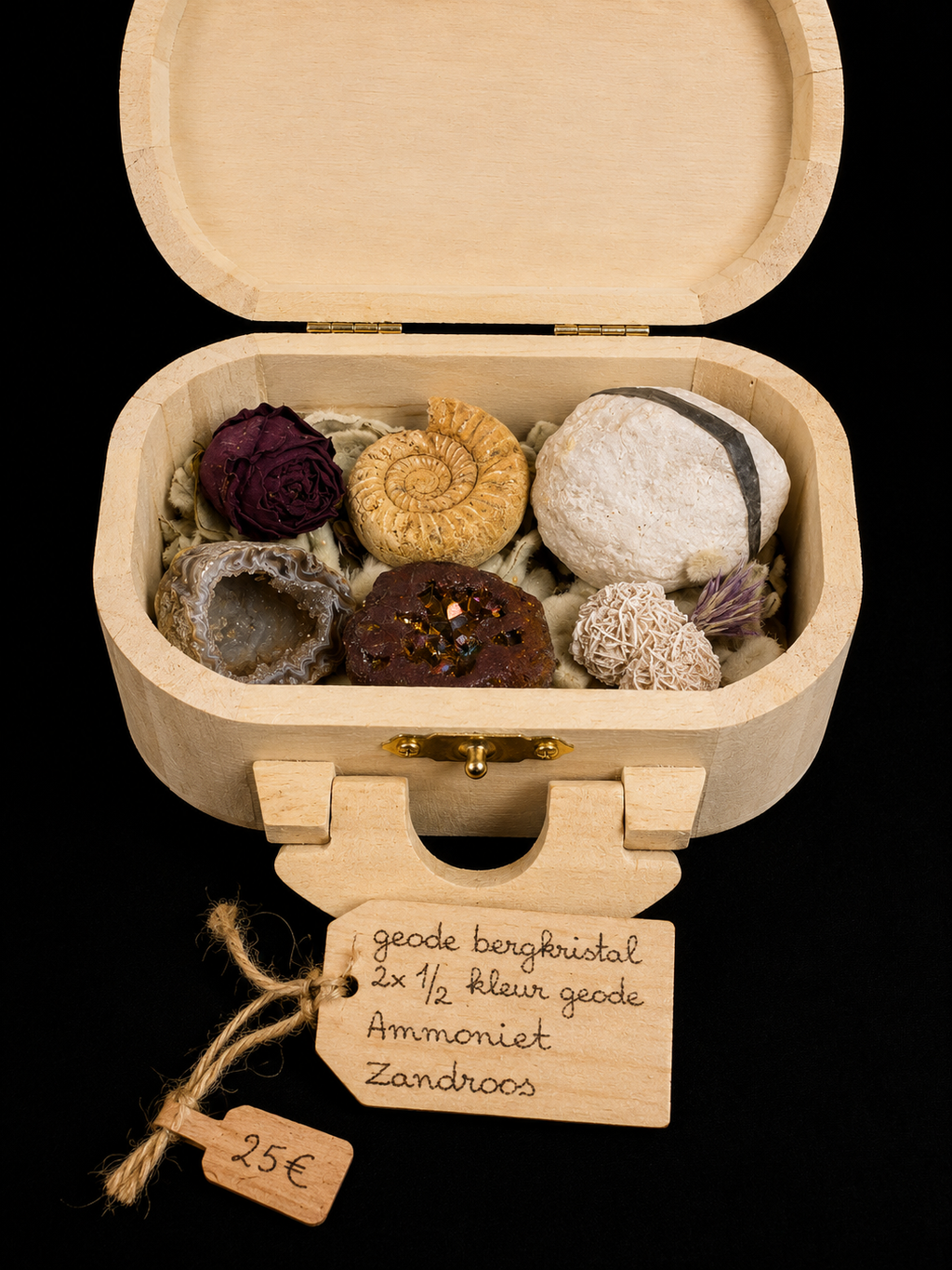 Coffret nature avec fossiles et minéraux – composition unique