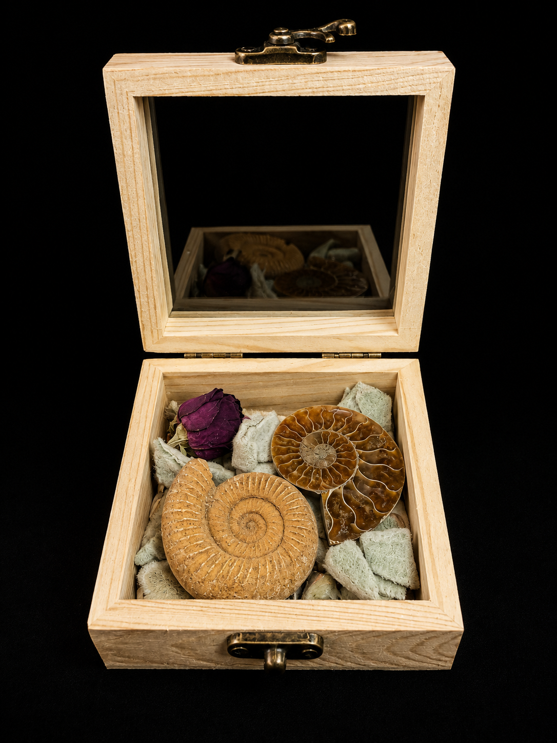 Coffret nature avec fossiles et minéraux – composition unique