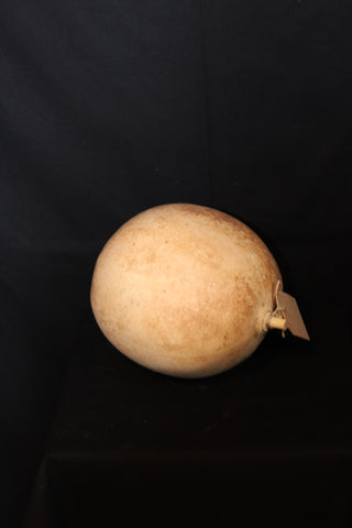 Ballonfruit