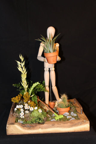 Lente tafereel met cactus, droogbloemen en Tillandsia / Scène printanière avec cactus, fleurs séchées et Tillandsia