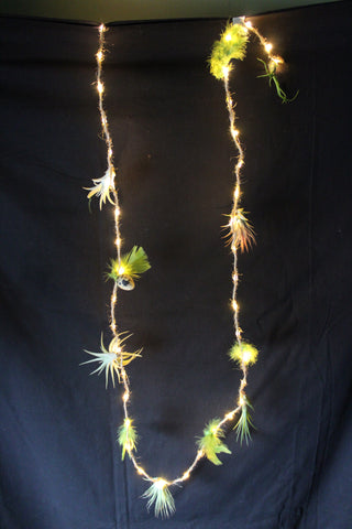 Luchtplant – Plante aérienne - Airplant – Tillandsia –creatie op touw met LED lichtjes / création sur corde avec lumières LED