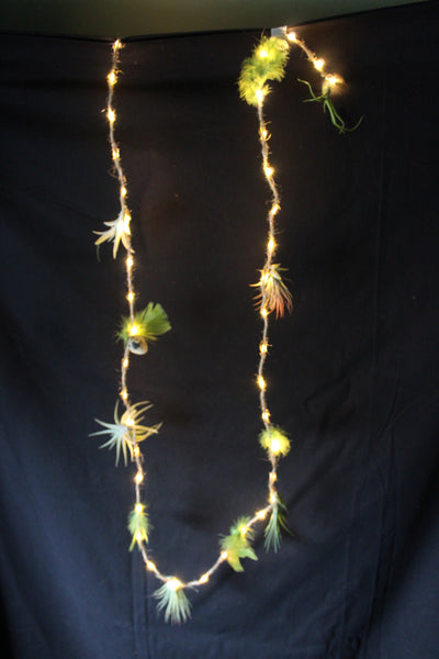 Luchtplant – Plante aérienne - Airplant – Tillandsia –creatie op touw met LED lichtjes / création sur corde avec lumières LED