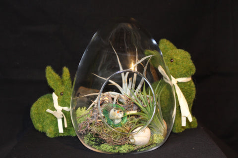 Paasei in glas – creatie met Tillandsia / Oeuf de Pâques en verre - Création avec Plante aériennes