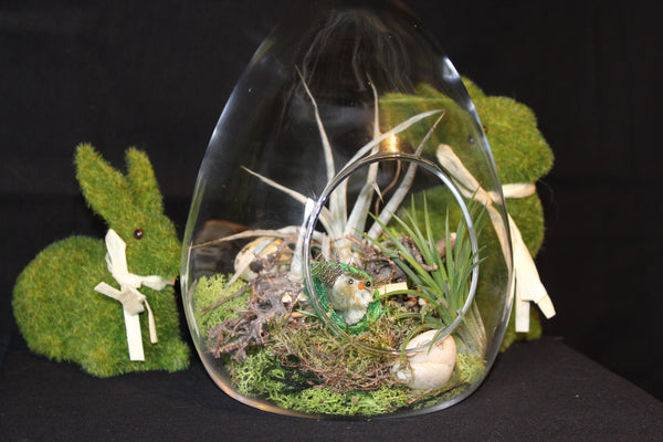 Paasei in glas – creatie met Tillandsia / Oeuf de Pâques en verre - Création avec Plante aériennes