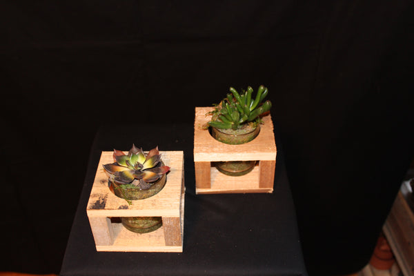 Plantenschaal vetplanten – houten houder / Succulentes - support en bois