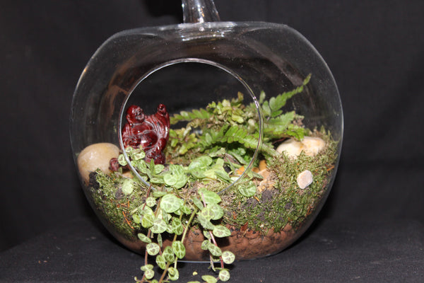 Terrarium mini planten (Appel)