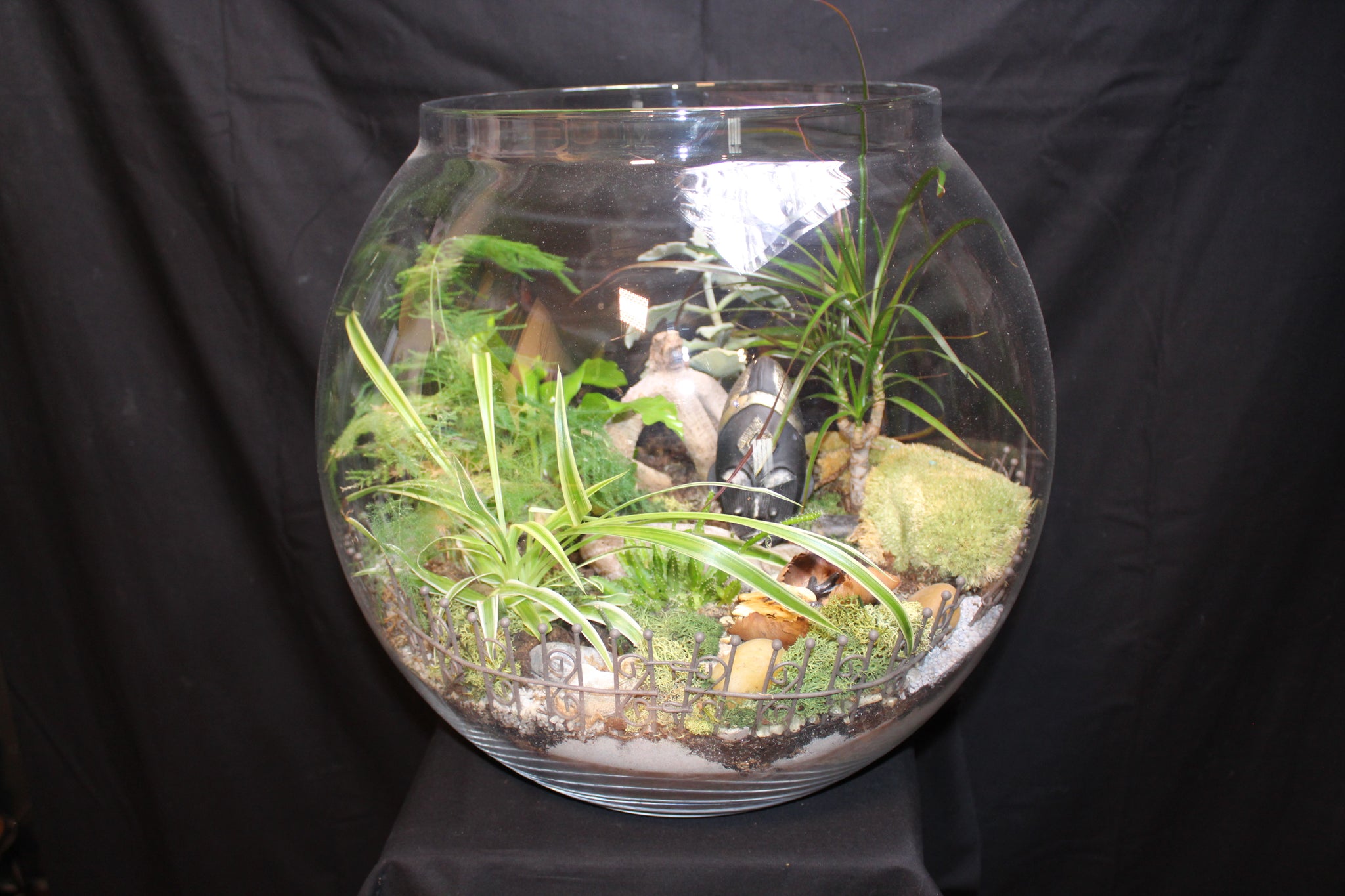 Terrarium mini planten (BOL45)