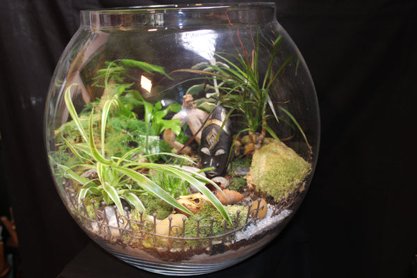 Terrarium mini planten (BOL45)