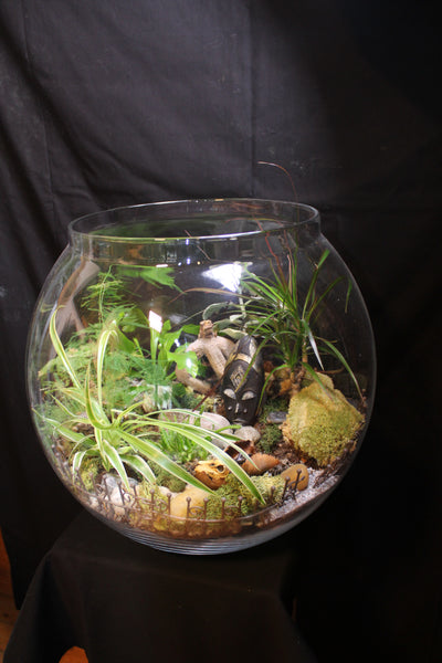 Terrarium mini planten (BOL45)