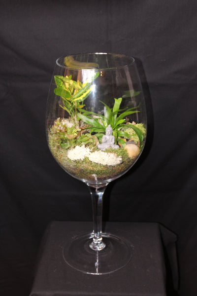 Terrarium mini planten (GL1) - groot wijnglas / grand verre à vin