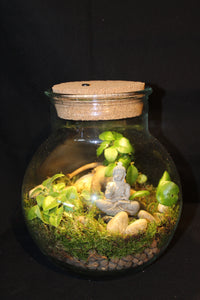 Terrarium mini planten (LED) / Terrarium de mini plantes (LED)