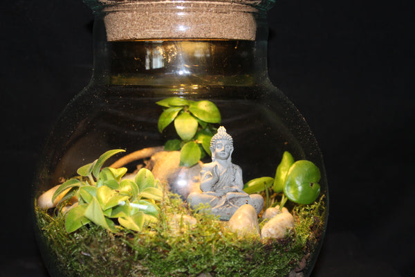 Terrarium mini planten (LED) / Terrarium de mini plantes (LED)