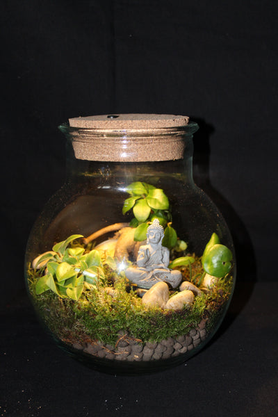 Terrarium mini planten (LED) / Terrarium de mini plantes (LED)