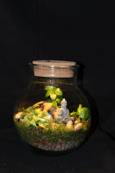 Terrarium mini planten (LED) / Terrarium de mini plantes (LED)