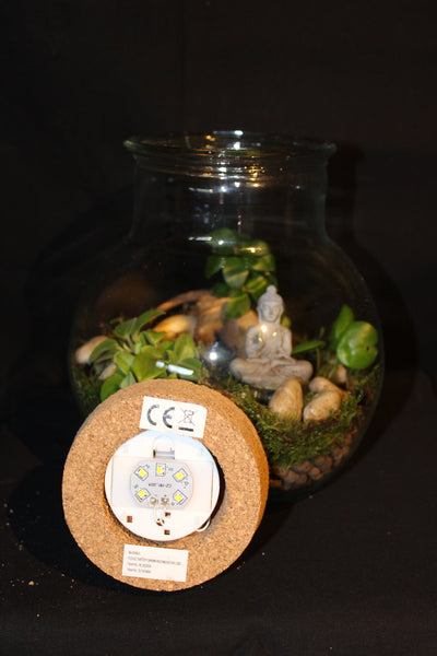 Terrarium mini planten (LED) / Terrarium de mini plantes (LED)