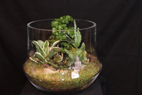 Terrarium mini planten (opn)