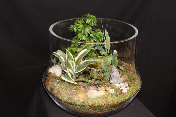 Terrarium mini planten (opn)