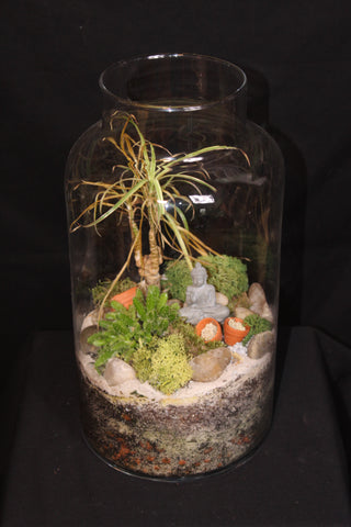 Terrarium mini planten (vsh)