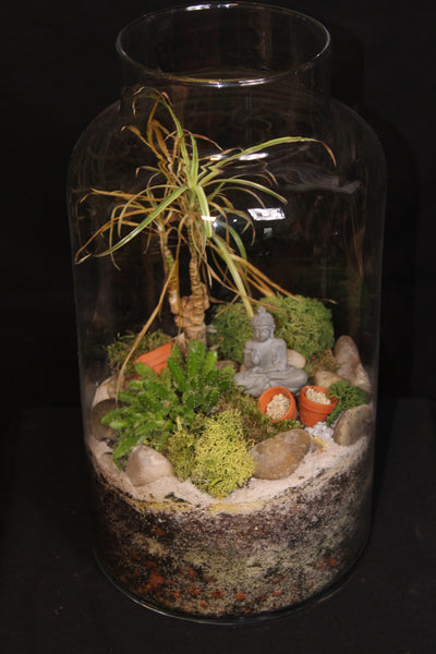 Terrarium mini planten (vsh)